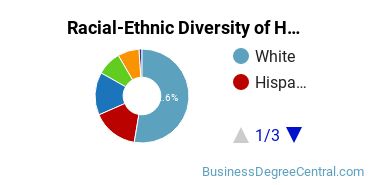 Racial-ethnic diversity of Human Resource Management majors at Stony Brook University