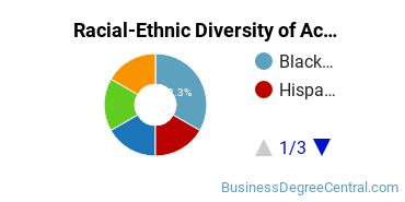 Racial-Ethnic Diversity of Accounting Majors at Stratford University