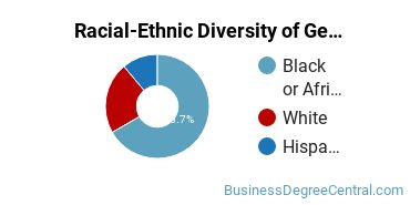 Racial-Ethnic Diversity of General Business/Commerce Majors at Stratford University