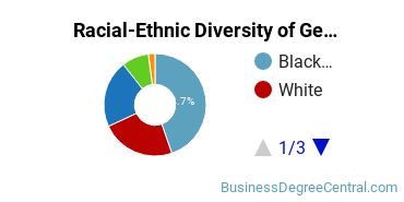 Racial-Ethnic Diversity of General Business/Commerce Majors at Strayer University - Florida