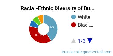 Racial-ethnic diversity of Business Administration & Management majors at Strayer University-Global Region