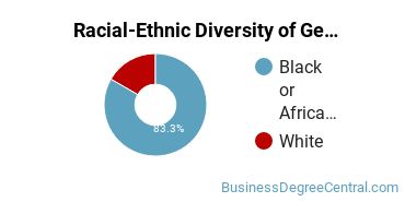 Racial-Ethnic Diversity of General Business/Commerce Majors at Strayer University - Mississippi