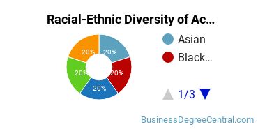 Racial-Ethnic Diversity of Accounting and Business/Management Majors at Strayer University - New Jersey