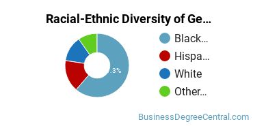 Racial-Ethnic Diversity of General Business/Commerce Majors at Strayer University - Texas