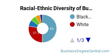 Racial-Ethnic Diversity of Business Administration & Management Majors at Strayer University - Virginia