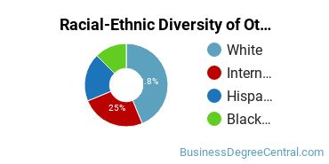Racial-Ethnic Diversity of Other Marketing Majors at Suffolk University