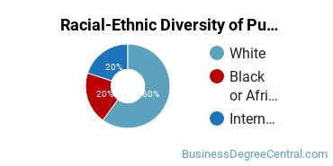Racial-Ethnic Diversity of Public Relations Majors at Suffolk University