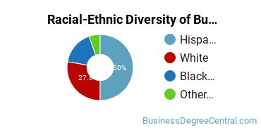 Racial-ethnic diversity of Business Administration & Management majors at Sul Ross State University