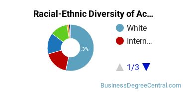 Racial-Ethnic Diversity of Accounting Majors at University at Albany