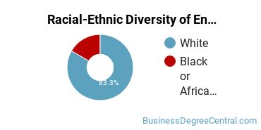 Racial-Ethnic Diversity of Entrepreneurship Majors at Binghamton University