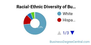 Racial-Ethnic Diversity of Business Economics Majors at SUNY Cortland