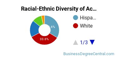 Racial-ethnic diversity of Accounting majors at SUNY Old Westbury