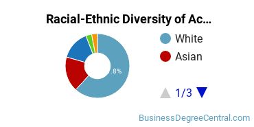 Racial-Ethnic Diversity of Accounting Majors at SUNY Old Westbury