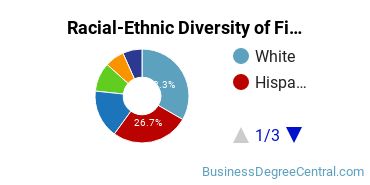 Racial-Ethnic Diversity of Finance Majors at SUNY Old Westbury