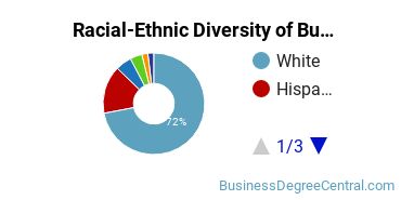 Racial-Ethnic Diversity of Business Economics Majors at SUNY Oneonta