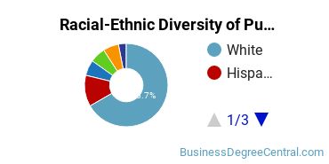 Racial-Ethnic Diversity of Public Relations Majors at SUNY Plattsburgh