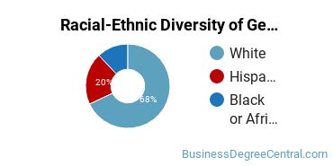 Racial-Ethnic Diversity of General Human Resources Management/Personnel Administration Majors at Alfred State College
