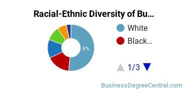 Racial-ethnic diversity of Business Administration & Management majors at SUNY College of Technology at Canton