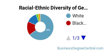 Racial-Ethnic Diversity of General Business/Commerce Majors at SUNY Empire State College