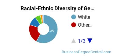 Racial-Ethnic Diversity of General Business/Commerce Majors at SUNY Empire State College
