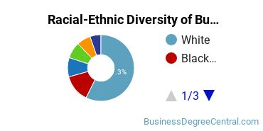 Racial-ethnic diversity of Business Administration & Management majors at SUNY Maritime College