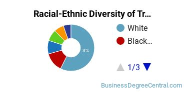Racial-Ethnic Diversity of Transportation/Mobility Management Majors at SUNY Maritime College