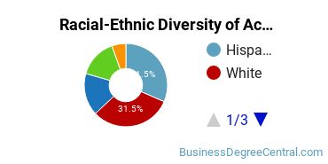 Racial-Ethnic Diversity of Accounting Technology/Technician and Bookkeeping Majors at SUNY Westchester Community College