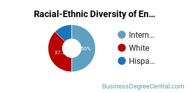 Racial-Ethnic Diversity of Entrepreneurship Majors at Syracuse University