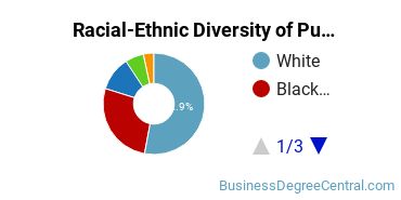 Racial-Ethnic Diversity of Public Relations, Advertising, & Applied Communication Majors at Syracuse University