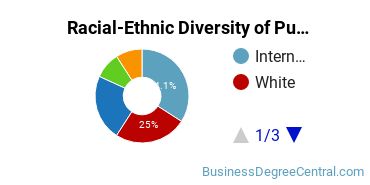 Racial-Ethnic Diversity of Public Relations Majors at Syracuse University