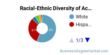 Racial-Ethnic Diversity of Accounting Majors at Tarleton State University
