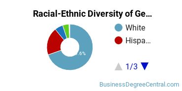 Racial-Ethnic Diversity of General Business/Commerce Majors at Tarleton State University