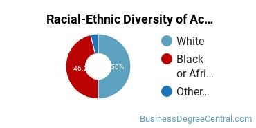 Racial-Ethnic Diversity of Accounting Majors at Tennessee State University