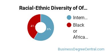 Racial-Ethnic Diversity of Office Administration Majors at Tennessee State University