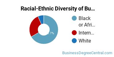 Racial-Ethnic Diversity of Business Economics Majors at Tennessee State University