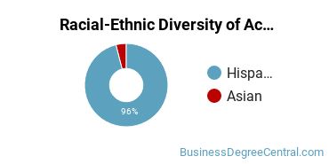 Racial-Ethnic Diversity of Accounting Majors at Texas A&M International University
