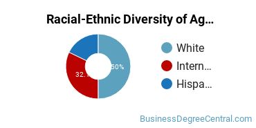 Racial-Ethnic Diversity of Agricultural Business Majors at Texas A&M University - College Station