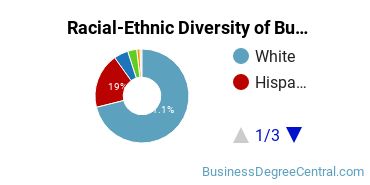 Racial-ethnic diversity of Business Administration & Management majors at Texas A&M University-College Station
