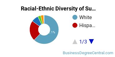 Racial-Ethnic Diversity of Supply Chain Management Majors at Texas A&M University - College Station