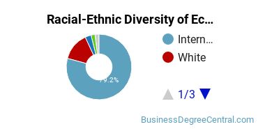 Racial-Ethnic Diversity of Econometrics & Quantitative Economics Majors at Texas A&M University - College Station