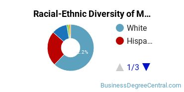 Racial-ethnic diversity of Management Information Systems majors at Texas A&M University-College Station