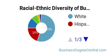 Racial-Ethnic Diversity of Business Statistics Majors at Texas A&M University - College Station