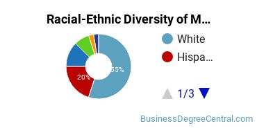 Racial-ethnic diversity of Management Sciences & Methods majors at Texas A&M University-College Station
