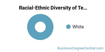 Racial-Ethnic Diversity of Technical & Scientific Communication Majors at Texas A&M University - College Station