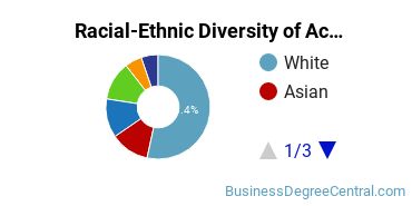 Racial-Ethnic Diversity of Accounting Majors at Texas A&M University - Commerce