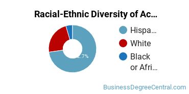 Racial-Ethnic Diversity of Accounting Majors at Texas A&M University - Kingsville