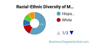 Racial-ethnic diversity of Management Information Systems majors at Texas A&M University-San Antonio