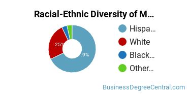 Racial-Ethnic Diversity of Marketing/Marketing Management, General Majors at Texas A&M University - San Antonio