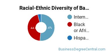 Racial-Ethnic Diversity of Banking and Financial Support Services Majors at Texas Southern University