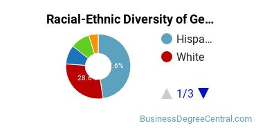 Racial-Ethnic Diversity of General Economics Majors at Texas State University